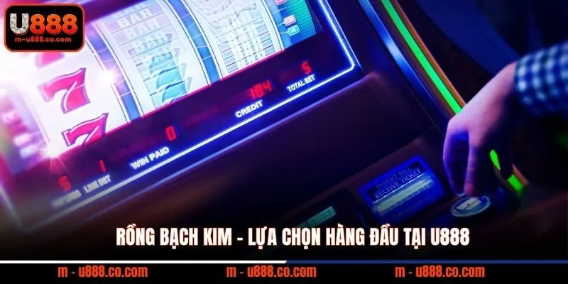 Rồng Bạch Kim - Lựa Chọn Hàng Đầu Tại U888 1 Rồng Bạch Kim – Lựa Chọn Hàng Đầu Tại U888