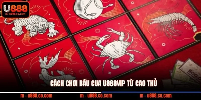 Cách Chơi Bầu Cua U888 - Bí kíp ăn thưởng 1 đổi 10 3 Cách chơi bầu cua U888VIP từ cao thủ