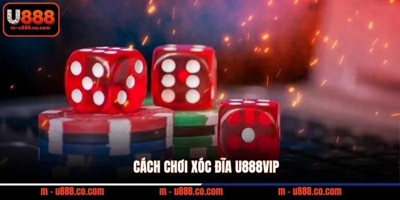 Cách Chơi Xóc Đĩa U888 rinh ngay hũ thưởng 500 triệu cực dễ 2 Cách chơi xóc đĩa U888VIP