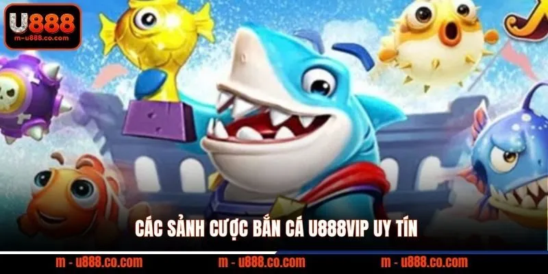 Bắn cá U888 2 Các sảnh cược bắn cá U888vip uy tín